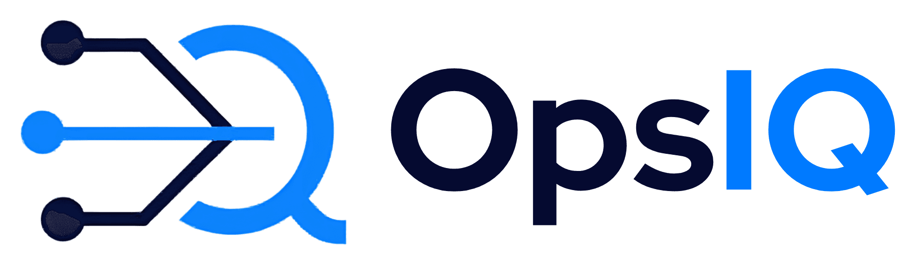 OpsIQ home